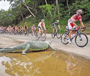 José Vega osserva uno spettatore particolare sulle strade della Vuelta a Costa Rica © Aldia.cr