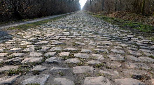 La Foresta di Arenberg è per molti il punto decisivo della Parigi-Roubaix © Bettiniphoto